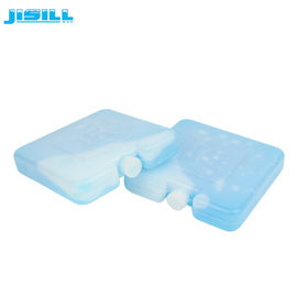 10*10*2 CM 냉각기를 위한 음식 차고 및 신선한/HDPE 플라스틱 얼음 구획을 위한 소형 얼음주머니