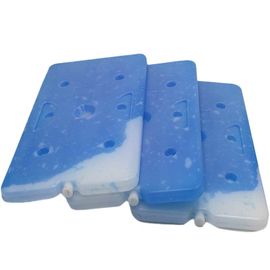 플라스틱 저온 얼음 냉각기 벽돌/파란 냉장고 냉찜질
