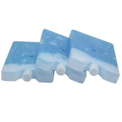 픽크닉 부대를 위한 작은 휴대용 플라스틱 얼음주머니 단단한 젤 냉각기 상자