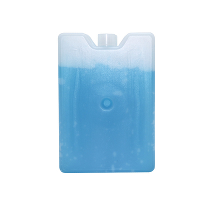 픽크닉 부대를 위한 작은 휴대용 플라스틱 얼음주머니 단단한 젤 냉각기 상자