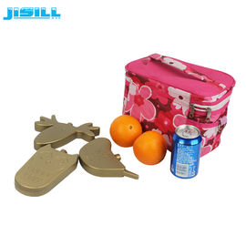 주문 뜨거운 찬 단단한 포탄 Hdpe 플라스틱 만화 얼음주머니 귀여운 냉장고 냉각기 팩 online manufacture