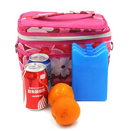 미니 아이스 팩 음식 및 음료 냉각 점심 상자 픽닉 및 더 다목적 휴대 및 캠핑 낚시 및 모르를 위해 재사용