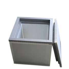 -20C 열 절연 패널 42L 용량 의약품 혈액 백신 및 식품